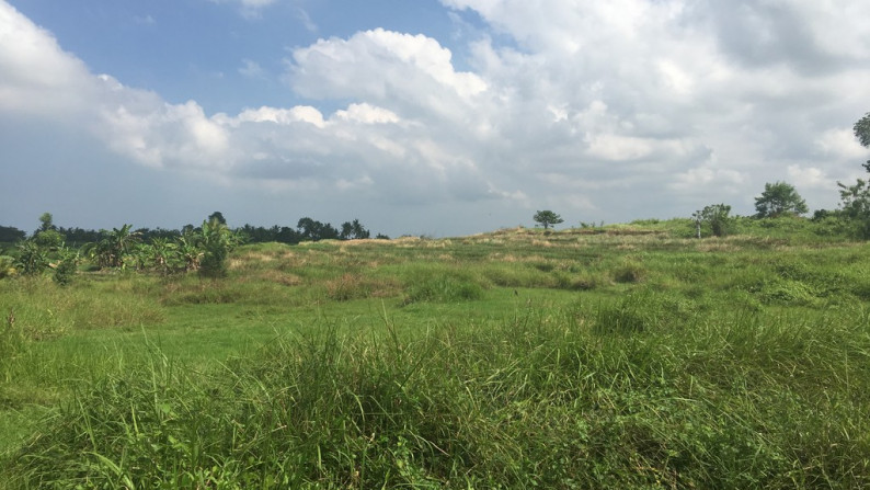 Land Freehold 5050 Sqm In Tabanan