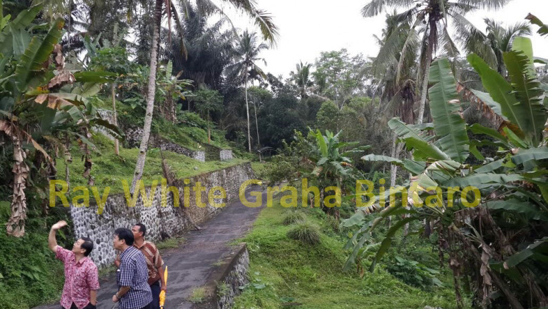 Dijual Rumah di Tegalalang Ubud Bali