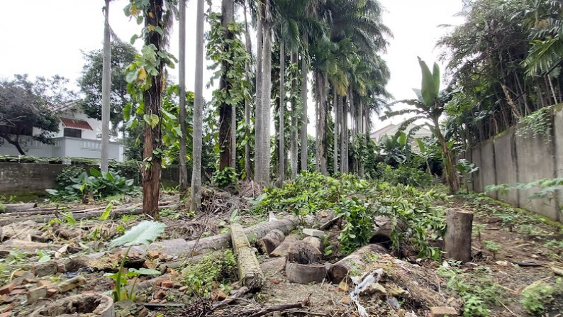 Kavling Tanah di Jalan Durian Barat, Jagakarsa, Jakarta Selatan, Lokasi Cantik,Bentuk Tanah Kotak, SHM