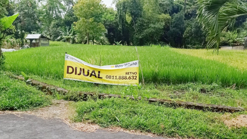 Sawah dekat Raminten, Jl.Kaliurang km.17- Sleman