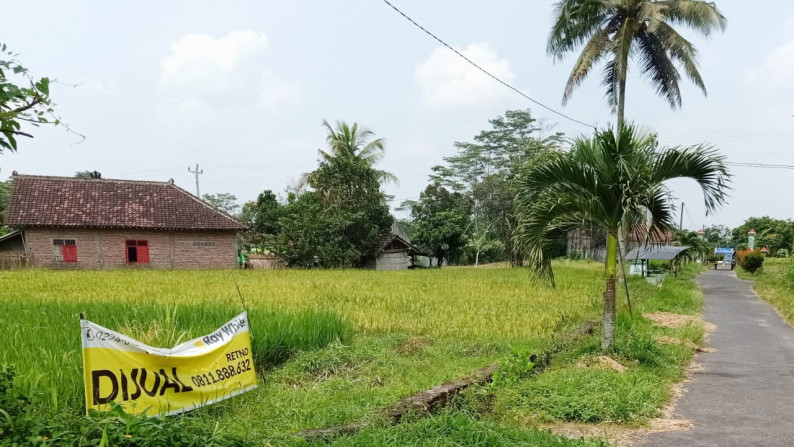 Sawah dekat Raminten, Jl.Kaliurang km.17- Sleman