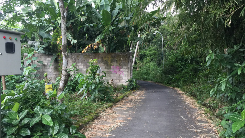 TANAH PEKARANGAN SIAP BANGUN,DI JL KAPt HARYADI,BELAKANG SAMSAT SLEMAN