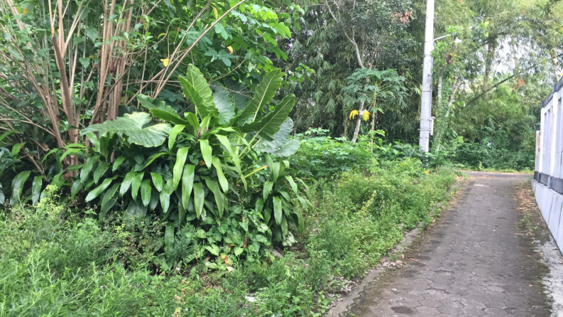 TANAH PEKARANGAN SIAP BANGUN,DI JL KAPt HARYADI,BELAKANG SAMSAT SLEMAN