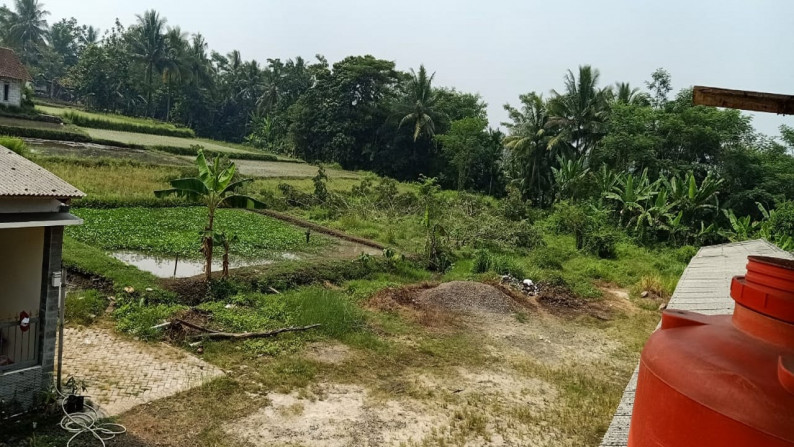 Tanah Komersil Raya Cibiuk Pandeglang Banten