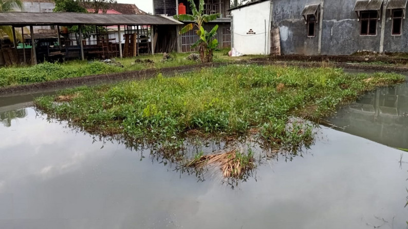 Tanah Komersil Raya Cibiuk Pandeglang Banten