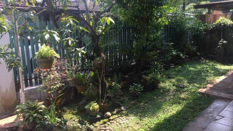 Rumah Asri di Cipete, Jakarta Selatan