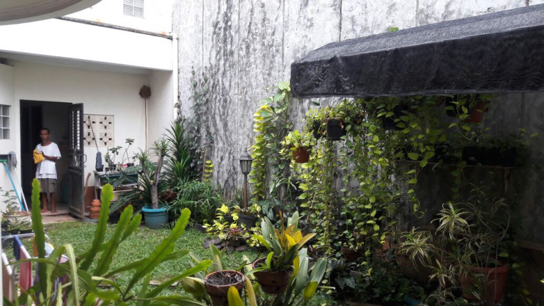 Rumah Cantik Harga Bagus di Bintaro 9