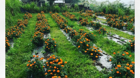 Kavling siap bangun di Bali