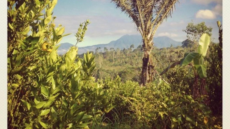 Kavling siap bangun di Bali