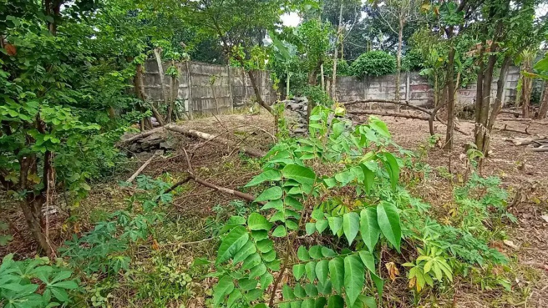 Tanah Kavling Siap Pakai Di Limo