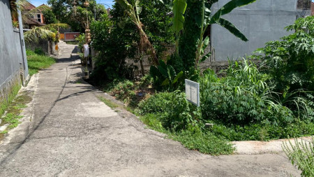 land Freehold 170 Sqm In Great Location Tabanan