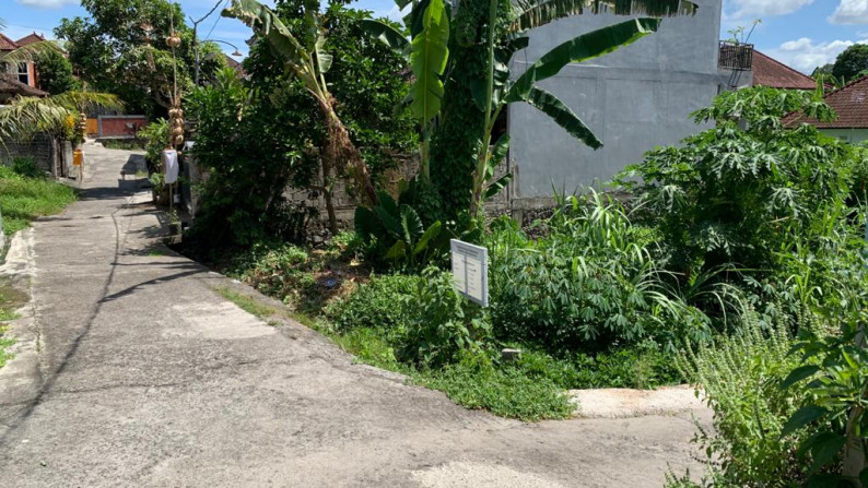 land Freehold 170 Sqm In Great Location Tabanan