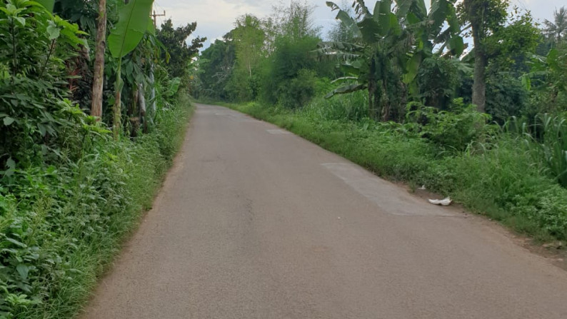 Kavling Strategis di Gunung Sindur Bogor Jawa Barat