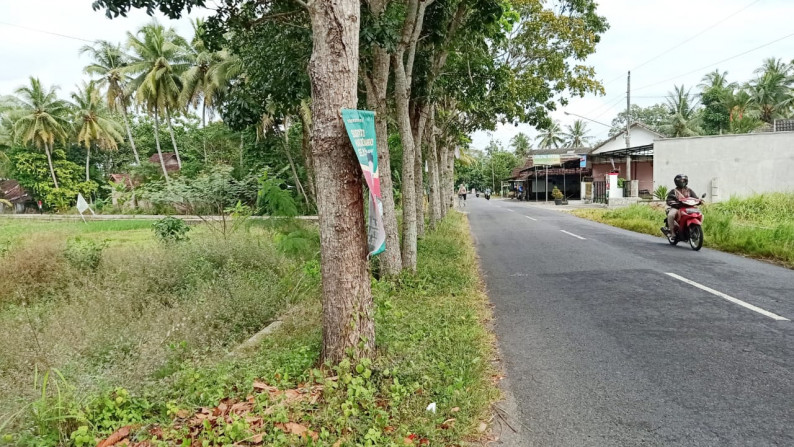 DIJUAL Tanah Sawah strategis di Seyegan  - Sleman