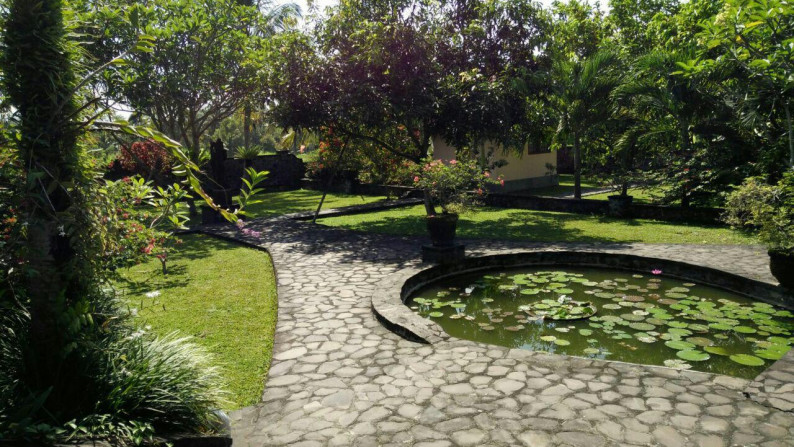 4 Bedroom Villa with Beautifull Rice Field View for Rent 15 Minutes from Ubud Center