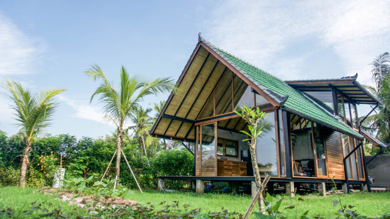 Amazing Leasehold Villa with Rice field and Jungle on 400 sq m just 7 Minute from Ubud Center