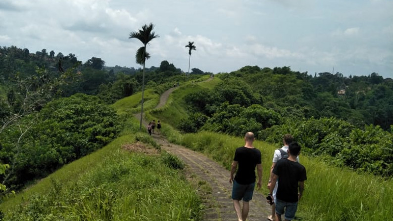 Land Freehold 26000 Sqm in Campuan Ubud