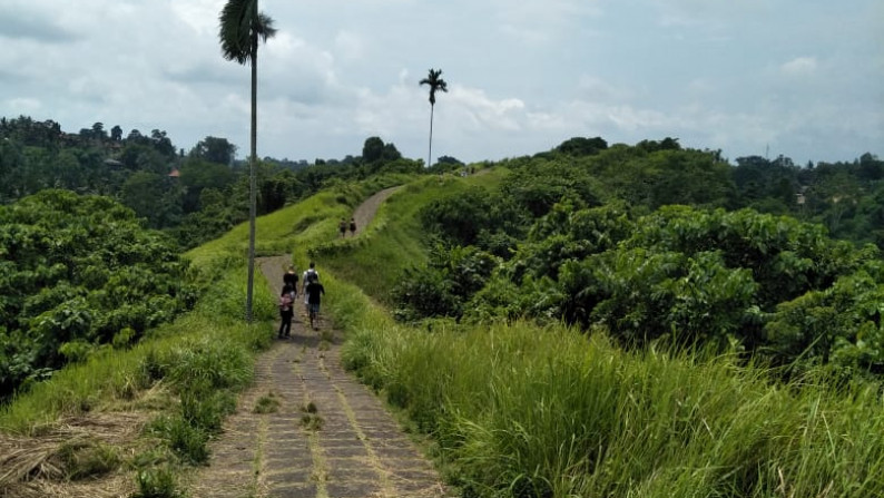 Land Freehold 26000 Sqm in Campuan Ubud