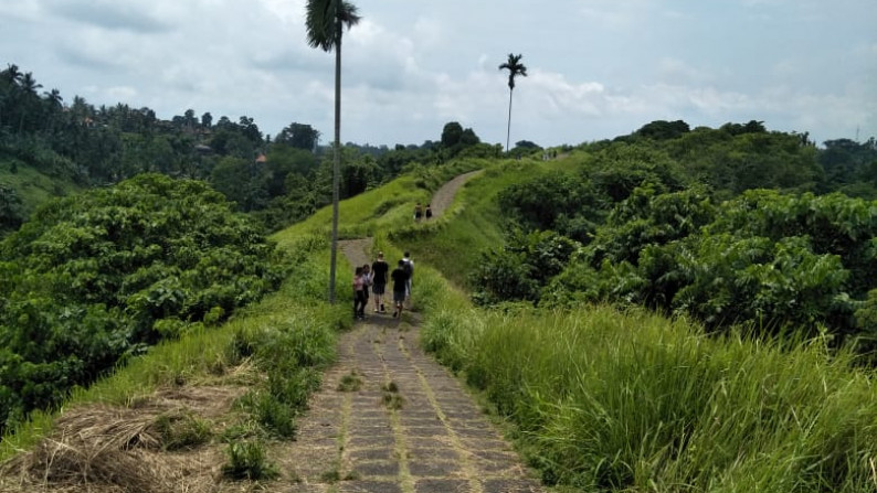 Land Freehold 26000 Sqm in Campuan Ubud