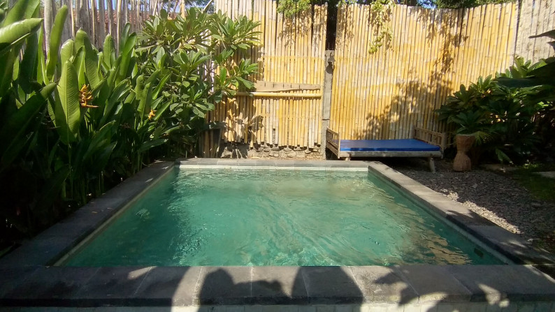Cozy One Bedroom Joglo with Plunge Pool