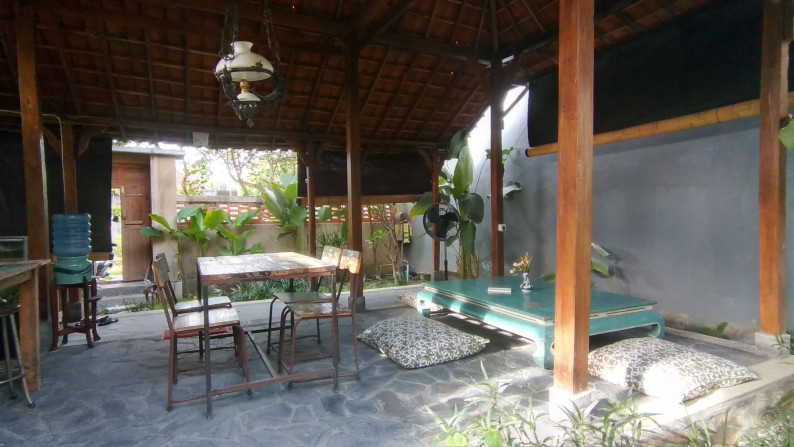 Cozy One Bedroom Joglo with Plunge Pool